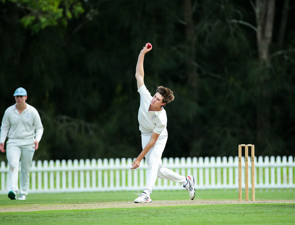 Cricket