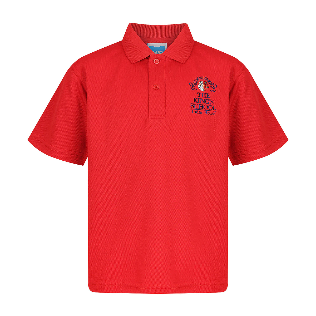 Tudor House Equestrian Polo